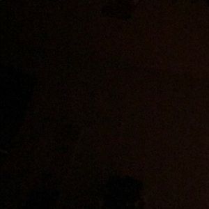 Meet your Posher, Christi